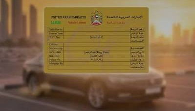 Vehicle Registration